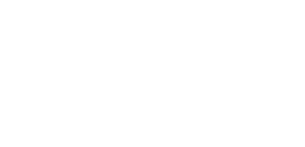 Campaign Detective